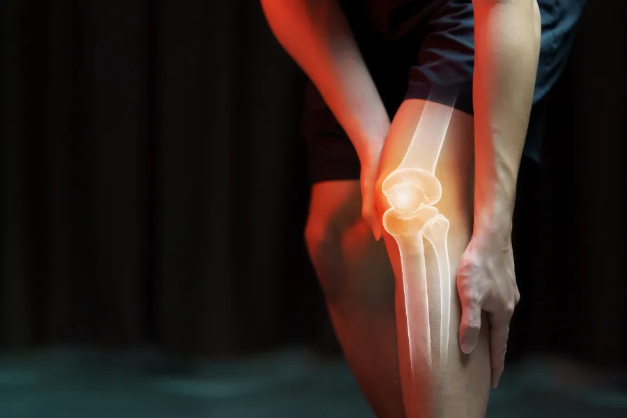 knee pain specialist